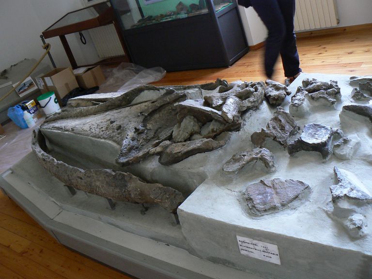 Festa scuola Ale 002